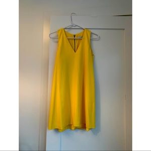 Alice and Olivia Dress